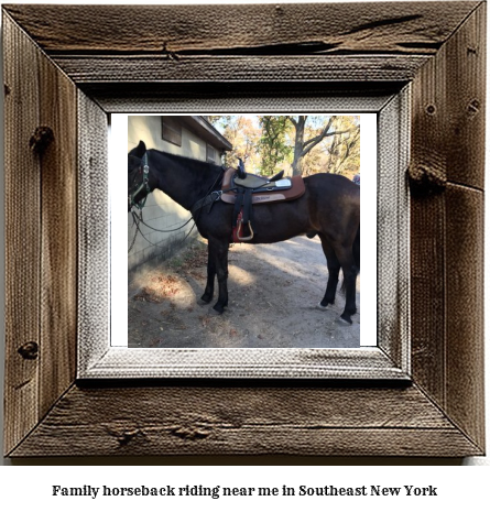 family horseback riding near me in Southeast, New York